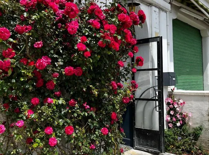 דירה T1 Bis Proche Gare Et Centre *